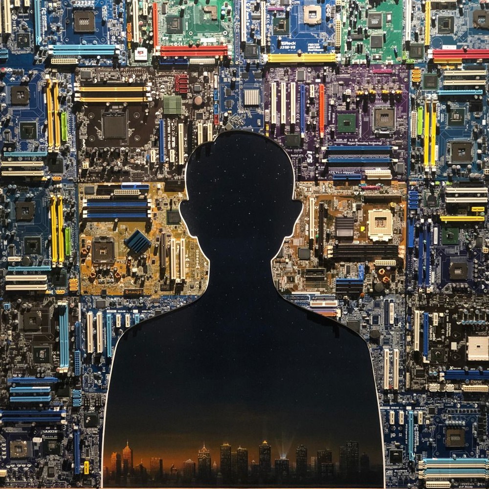 Хакер, 2014 г . пластик, масло, компьютерные платы; 110 х 110 см.